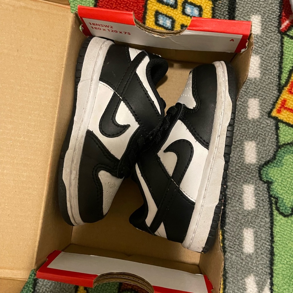 6c panda dunk